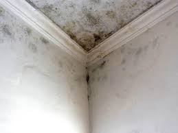 Best Residential Mold Inspection & Testing  in Humboldt Hill, CA